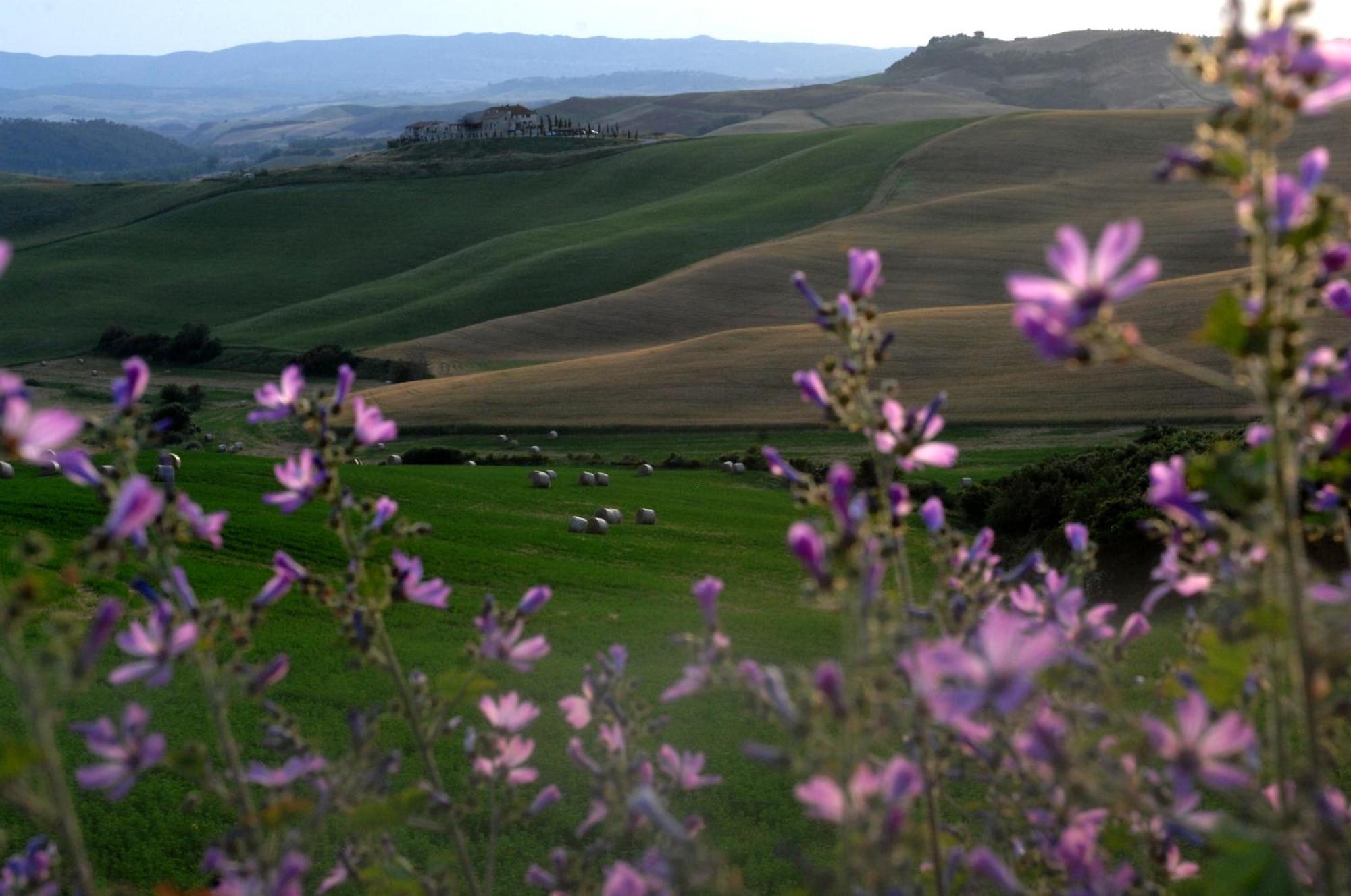 Agrihotel Il Palagetto Volterra Eksteriør billede